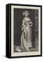 Lady Teazle-Robert James Gordon-Framed Stretched Canvas