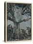 Lady Treed by Wolves-Arthur Rackham-Stretched Canvas