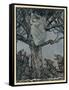 Lady Treed by Wolves-Arthur Rackham-Framed Stretched Canvas