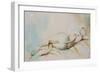 Lady Waiting-Rikki Drotar-Framed Giclee Print