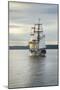 Lady Washington I-Alan Majchrowicz-Mounted Photographic Print