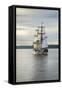 Lady Washington I-Alan Majchrowicz-Framed Stretched Canvas