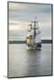 Lady Washington I-Alan Majchrowicz-Mounted Photographic Print