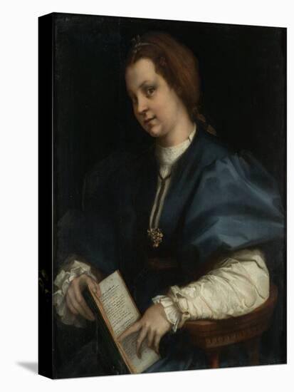 Lady with a Book of Petrarch's Rhyme, 1528-Andrea del Sarto-Stretched Canvas