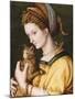 Lady with a Cat, C.1525-30-Francesco Ubertini, Il Bacchiacca-Mounted Giclee Print