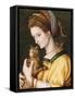 Lady with a Cat, C.1525-30-Francesco Ubertini, Il Bacchiacca-Framed Stretched Canvas