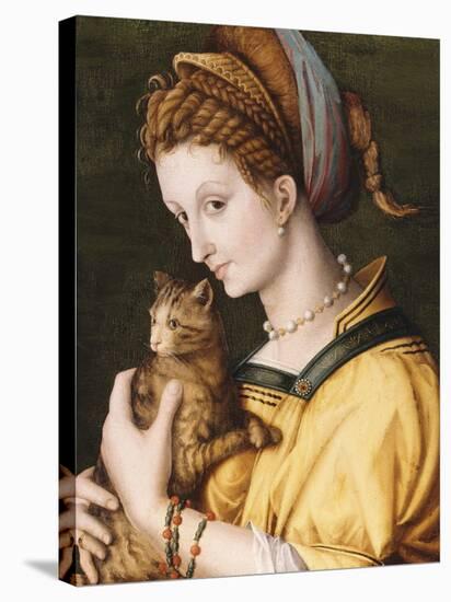 Lady with a Cat, C.1525-30-Francesco Ubertini, Il Bacchiacca-Stretched Canvas