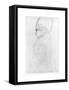 Lady with a Tall Hat, c.1917-Gustav Klimt-Framed Stretched Canvas