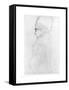 Lady with a Tall Hat, c.1917-Gustav Klimt-Framed Stretched Canvas
