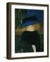 Lady with hat and feather boa. Oil on canvas (1909) 69 x 75 cm.-Gustav Klimt-Framed Giclee Print