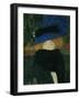Lady with hat and feather boa. Oil on canvas (1909) 69 x 75 cm.-Gustav Klimt-Framed Giclee Print