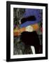 Lady with Hat and Feather Boa-Gustav Klimt-Framed Art Print