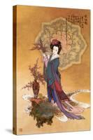 Lady with Plum Flowers-null-Stretched Canvas