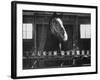 Lady Wonder, a Clairvoyant Talking Horse, Can Count and Spell Its Name-Hank Walker-Framed Photographic Print