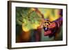 Ladybird-Pixie Pics-Framed Photographic Print