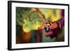 Ladybird-Pixie Pics-Framed Photographic Print