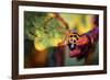 Ladybird-Pixie Pics-Framed Photographic Print