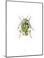 Ladybird-Alexis Marcou-Mounted Art Print