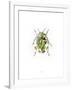 Ladybird-Alexis Marcou-Framed Art Print