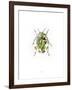 Ladybird-Alexis Marcou-Framed Art Print