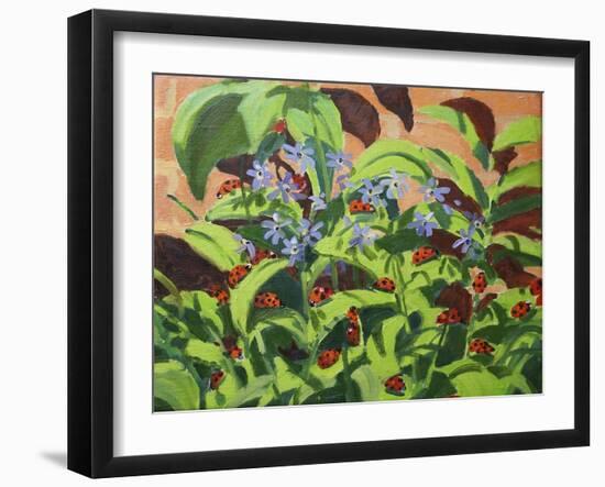 Ladybirds, 2013-Andrew Macara-Framed Giclee Print