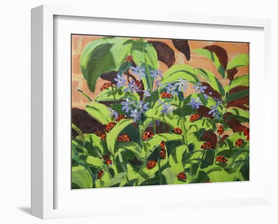 Ladybirds, 2013-Andrew Macara-Framed Giclee Print