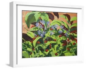 Ladybirds, 2013-Andrew Macara-Framed Giclee Print