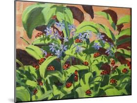 Ladybirds, 2013-Andrew Macara-Mounted Giclee Print