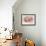 Ladybirds On Pink Hydrangea.-Ellen Van Deelen-Framed Giclee Print displayed on a wall