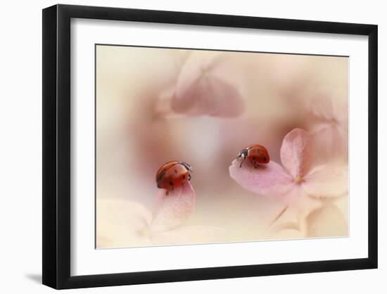 Ladybirds On Pink Hydrangea.-Ellen Van Deelen-Framed Giclee Print