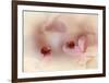 Ladybirds On Pink Hydrangea.-Ellen Van Deelen-Framed Giclee Print