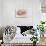Ladybirds On Pink Hydrangea.-Ellen Van Deelen-Stretched Canvas displayed on a wall