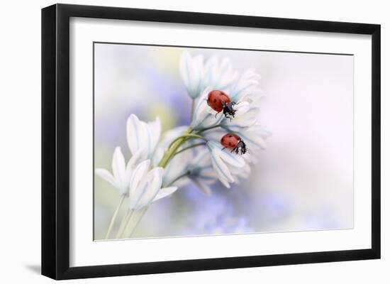 Ladybirds-Ellen Van Deelen-Framed Art Print