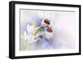 Ladybirds-Ellen Van Deelen-Framed Art Print