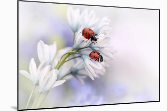 Ladybirds-Ellen Van Deelen-Mounted Art Print