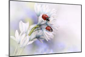 Ladybirds-Ellen Van Deelen-Mounted Art Print