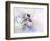 Ladybirds-Ellen Van Deelen-Framed Photographic Print