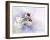 Ladybirds-Ellen Van Deelen-Framed Photographic Print