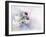 Ladybirds-Ellen Van Deelen-Framed Photographic Print