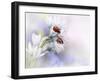 Ladybirds-Ellen Van Deelen-Framed Photographic Print