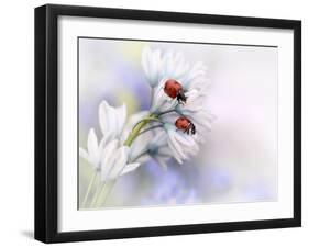 Ladybirds-Ellen Van Deelen-Framed Premium Photographic Print