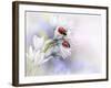 Ladybirds-Ellen Van Deelen-Framed Photographic Print