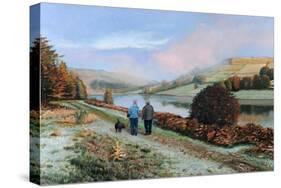 Ladybower Reservoir, Derbyshire, 2009-Trevor Neal-Stretched Canvas