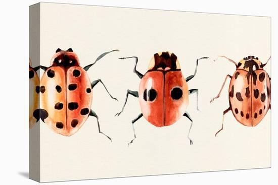 Ladybug Display II-Annie Warren-Stretched Canvas