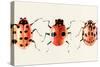 Ladybug Display II-Annie Warren-Stretched Canvas