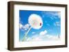 Ladybug On A Dandelion On A Background Of The Sky-Miramiska-Framed Photographic Print