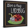 Ladybug-Erin Clark-Stretched Canvas