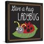 Ladybug-Erin Clark-Stretched Canvas