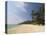 Laem Tong Beach, Phi Phi Don Island, Thailand, Southeast Asia-Sergio Pitamitz-Stretched Canvas