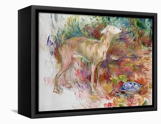 Laerte the Greyhound, 1894-Berthe Morisot-Framed Stretched Canvas